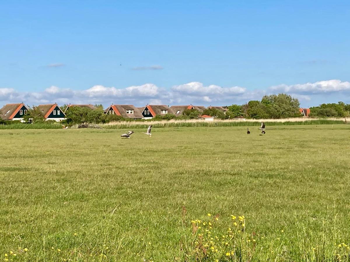 Villa Buitenplaats 47 Callantsoog Eksteriør billede