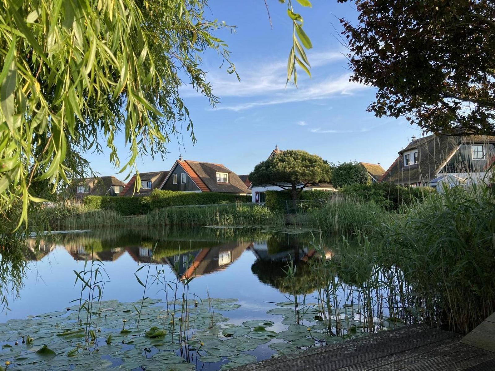 Villa Buitenplaats 47 Callantsoog Eksteriør billede